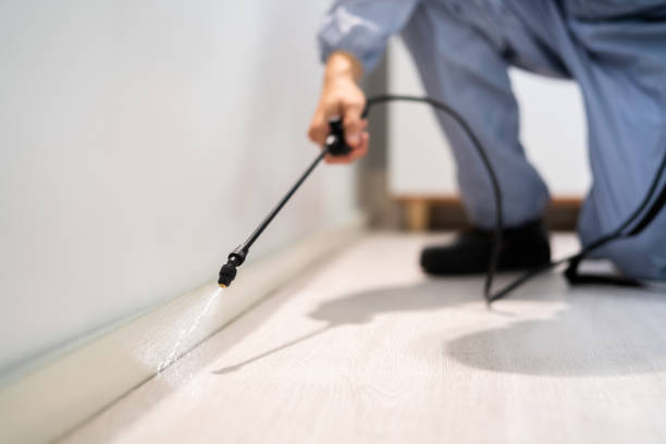 Bed Bug Pre-Treatment Preparation Assessment in University Heights