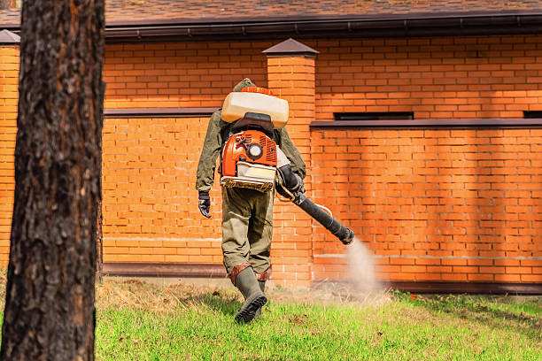 Bed Bug Clearance Verification and Documentation in University Heights